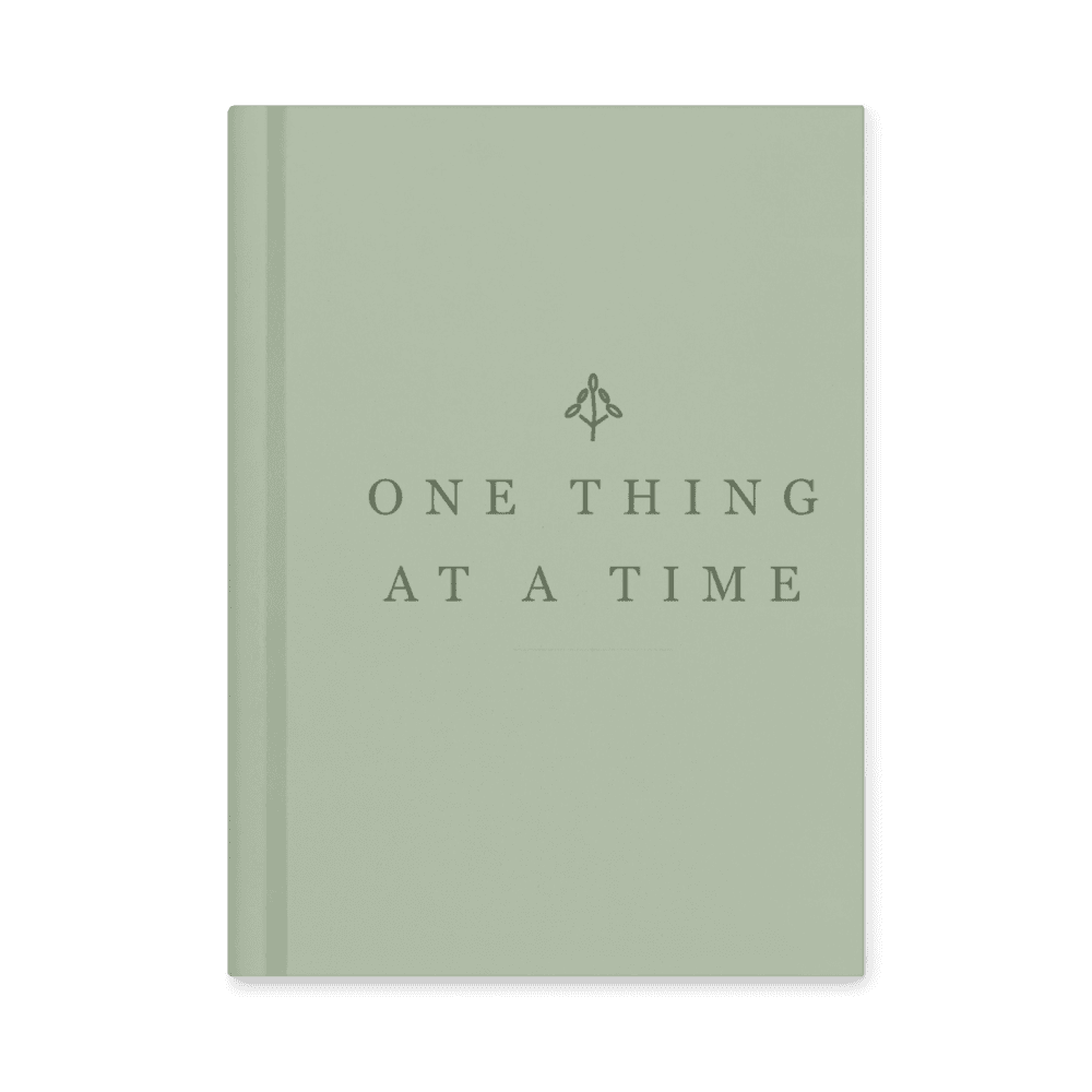 The Steady Journal