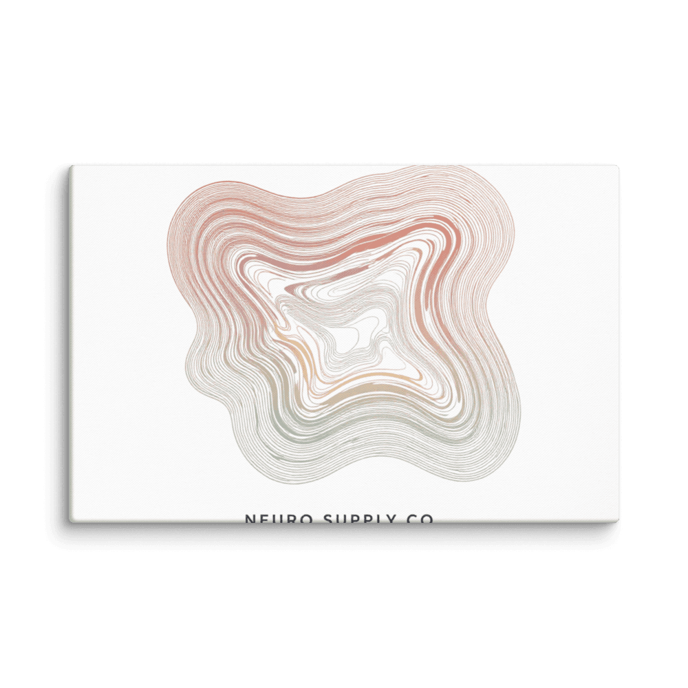 Flow Lines Canvas Print