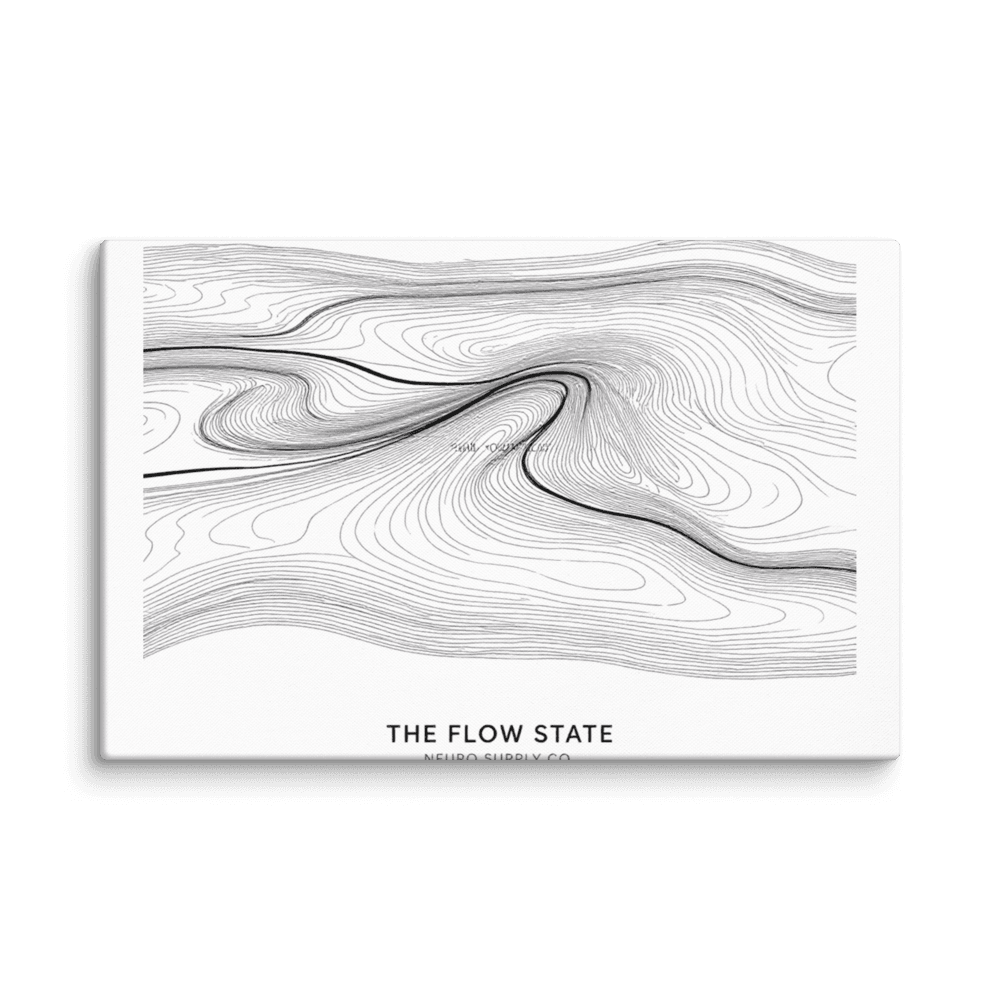 The Flow State Canvas Print