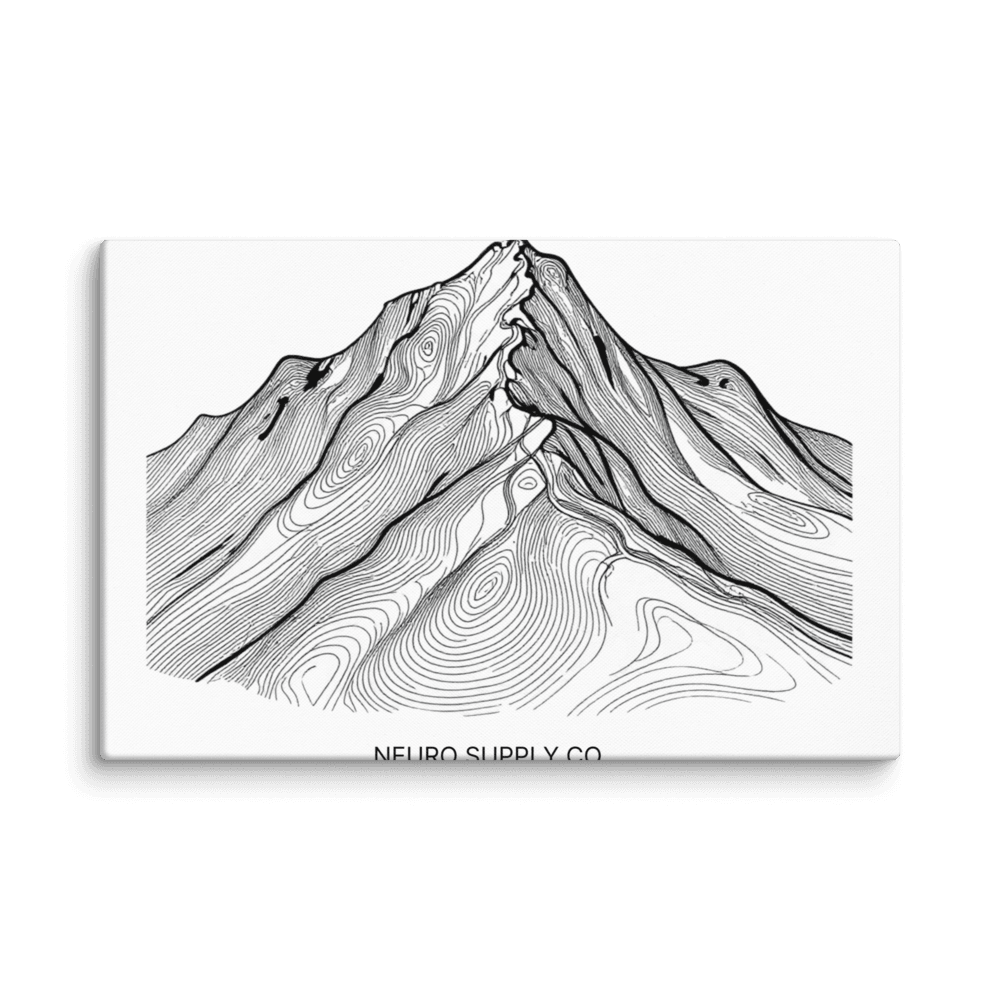 The Map Canvas Print