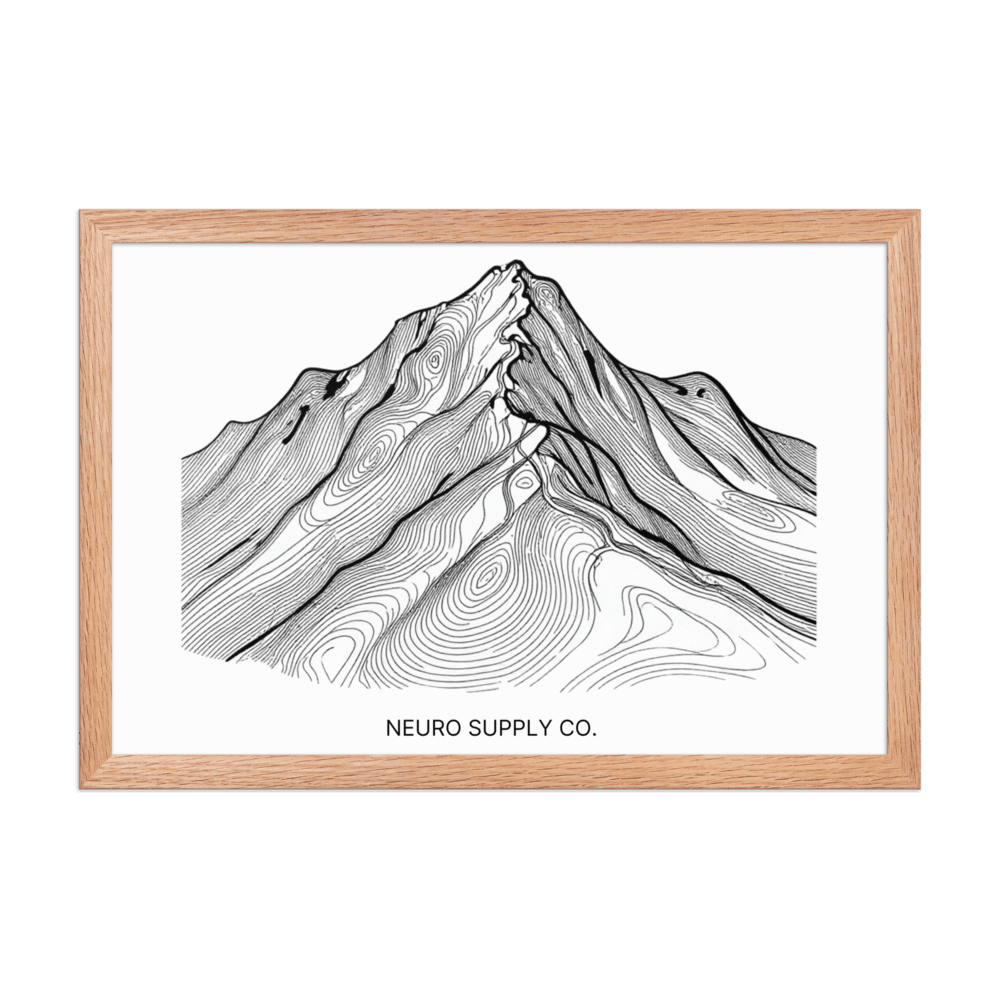 The Map Art Print